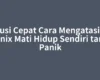 Solusi Cepat Cara Mengatasi HP Infinix Mati Hidup Sendiri tanpa Panik