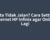 Data Tidak Jalan? Cara Setting Internet HP Infinix agar Online Lagi