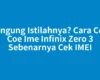 Bingung Istilahnya? Cara Cek Coe Ime Infinix Zero 3 Sebenarnya Cek IMEI